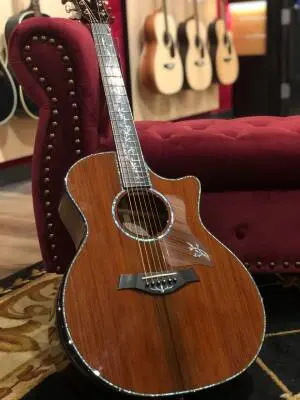 Taylor Guitars - Presentation Series PS14CE H RW 2